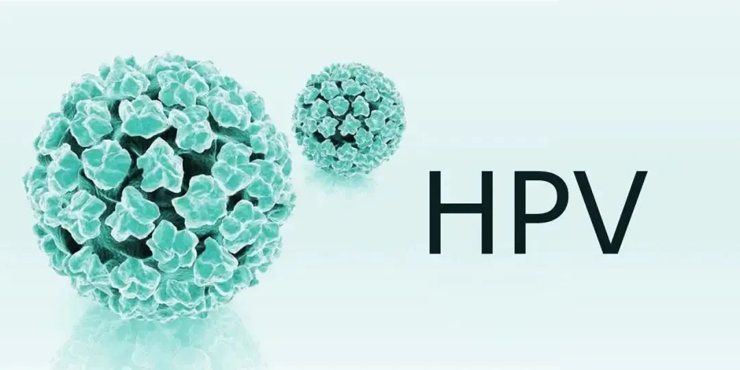 能预防宫颈癌的不只是HPV疫苗，免疫细胞同样具备杀灭病毒的能